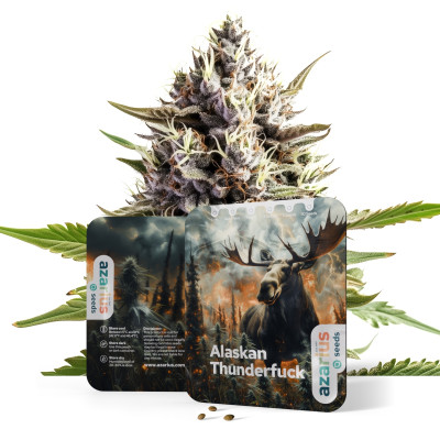 Alaskan Thunderfuck