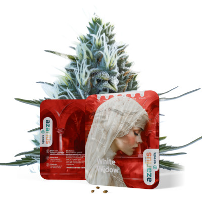 White Widow Auto