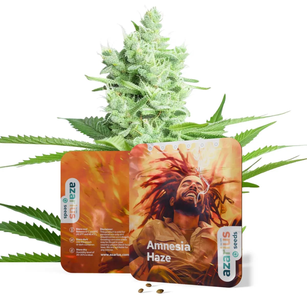 Amnesia Haze