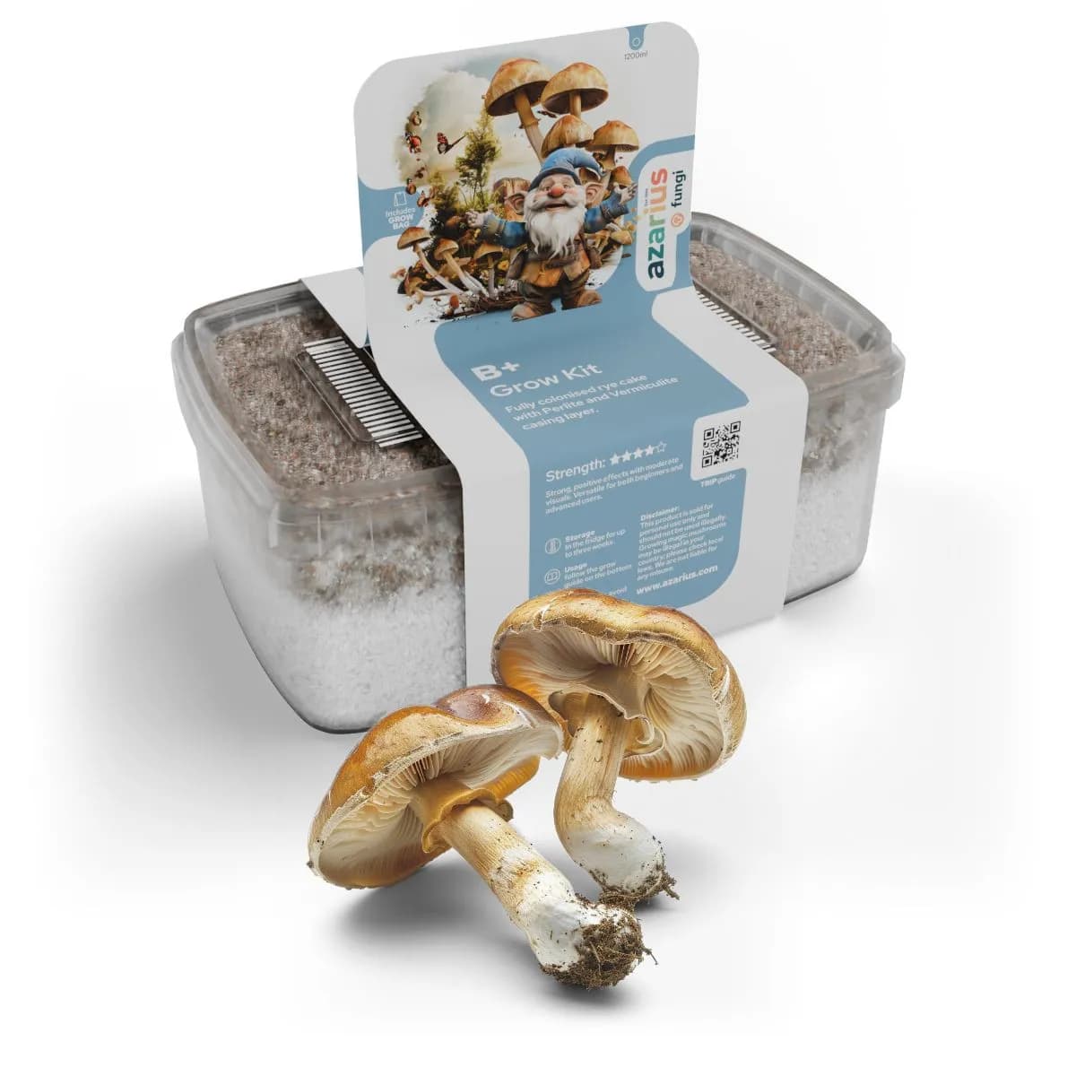 Champignons B+