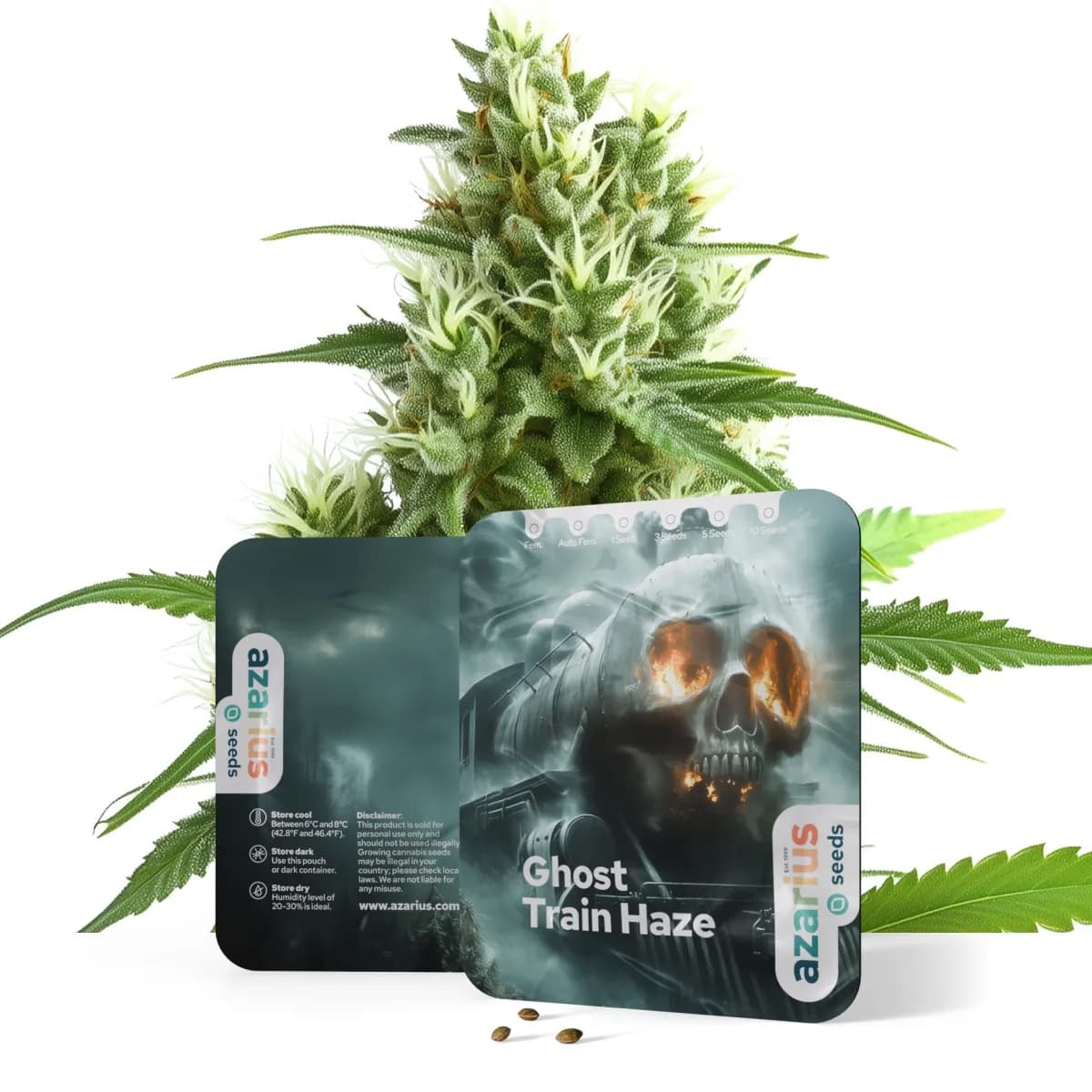 Ghost Train Haze Auto