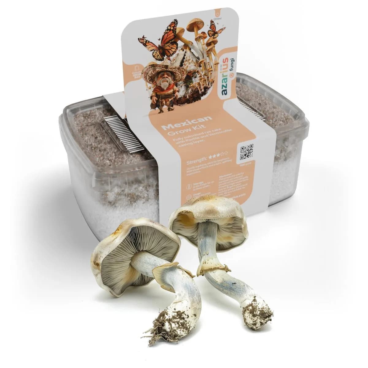 Kit de culture champignons magiques Mexican