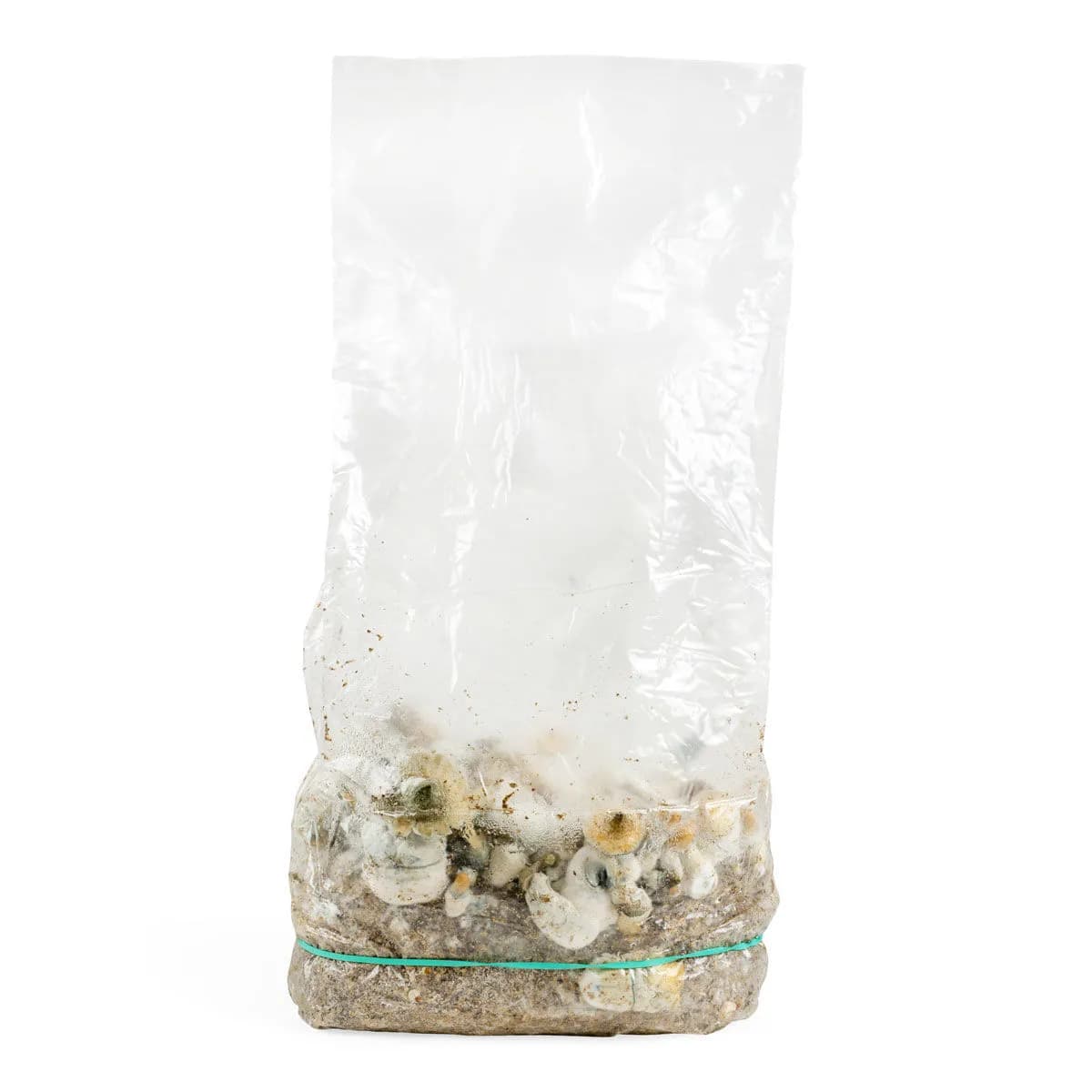 Sac de culture Ready-2-Grow 'Makilla Gorilla'