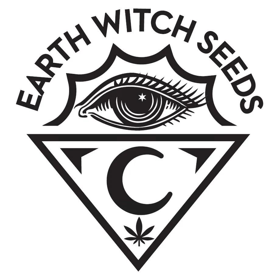 Witchy Wonder