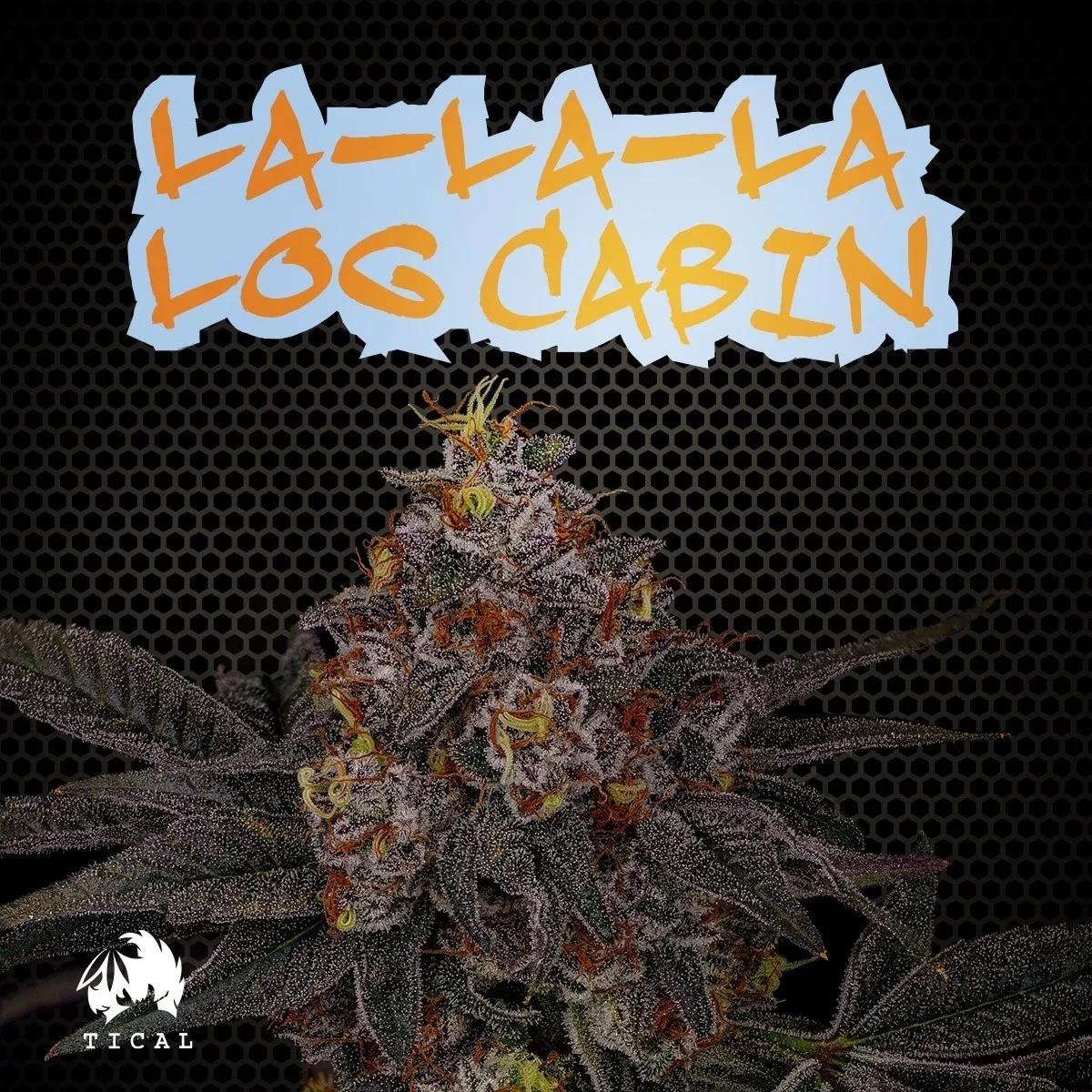 La-La-La Log Cabin (TICAL)