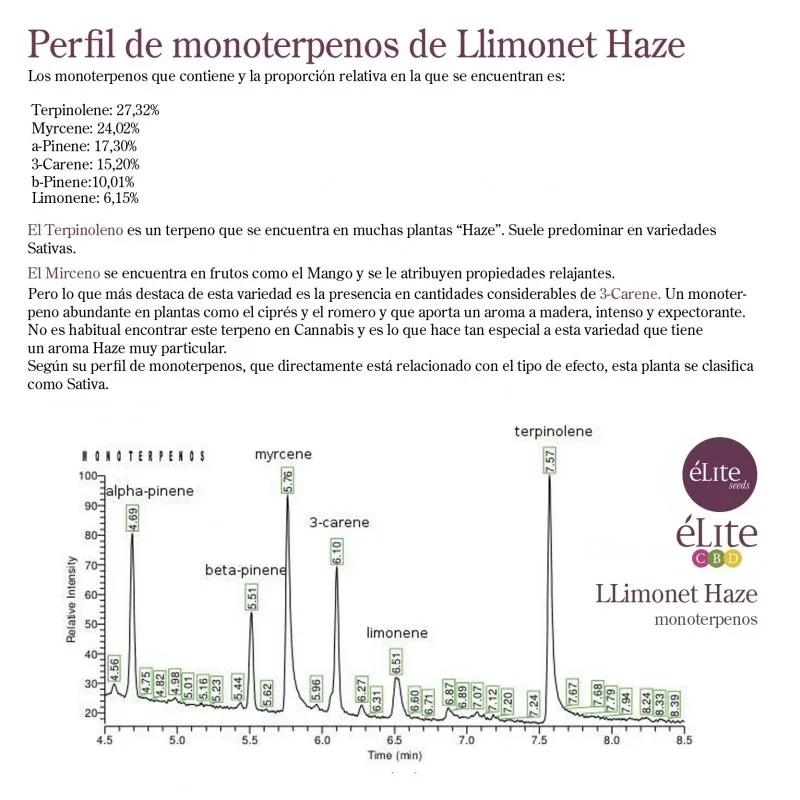 Llimonet Haze Classic THC