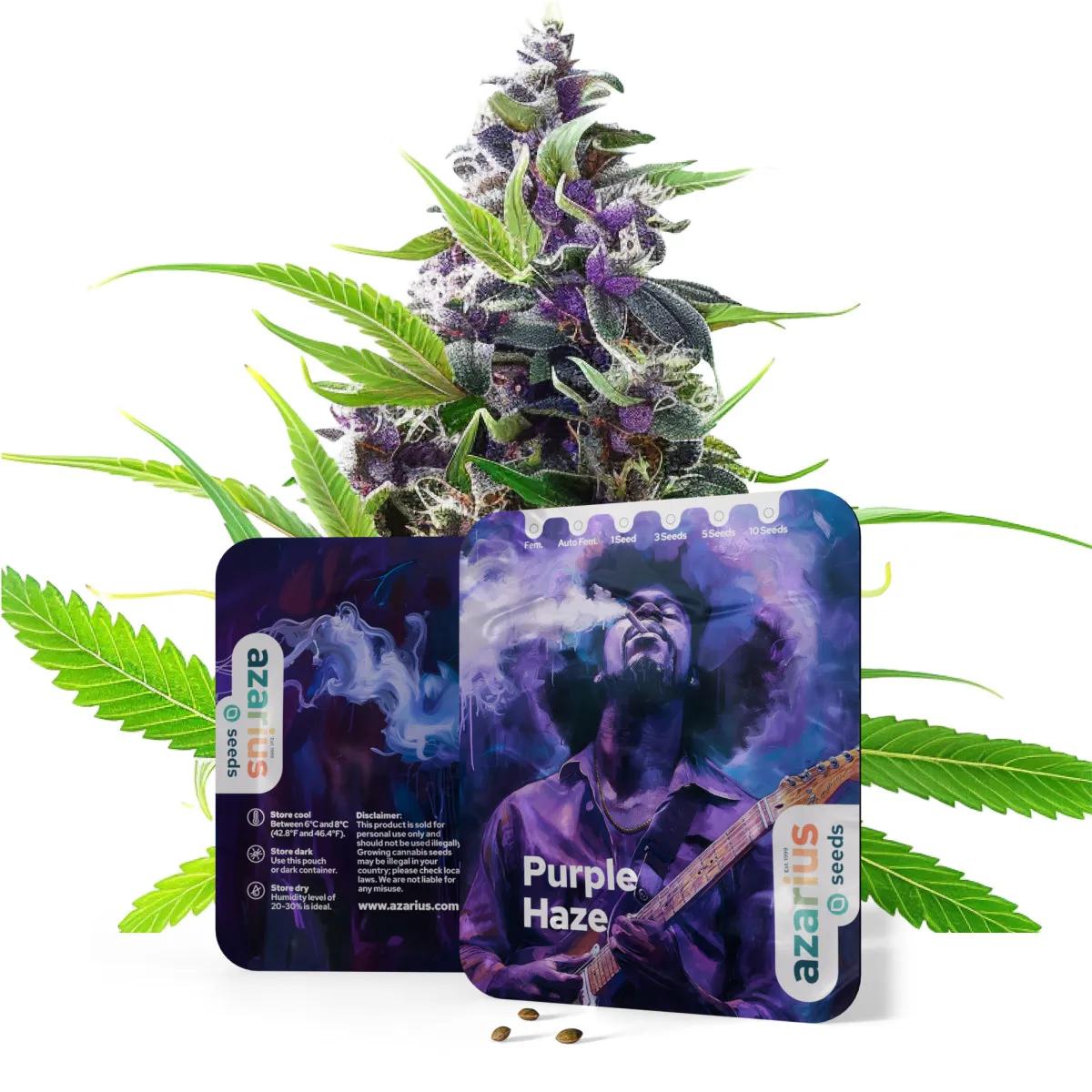Purple Haze Auto