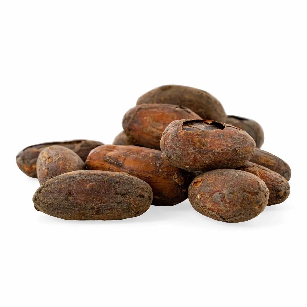 Fèves de cacao cru bio