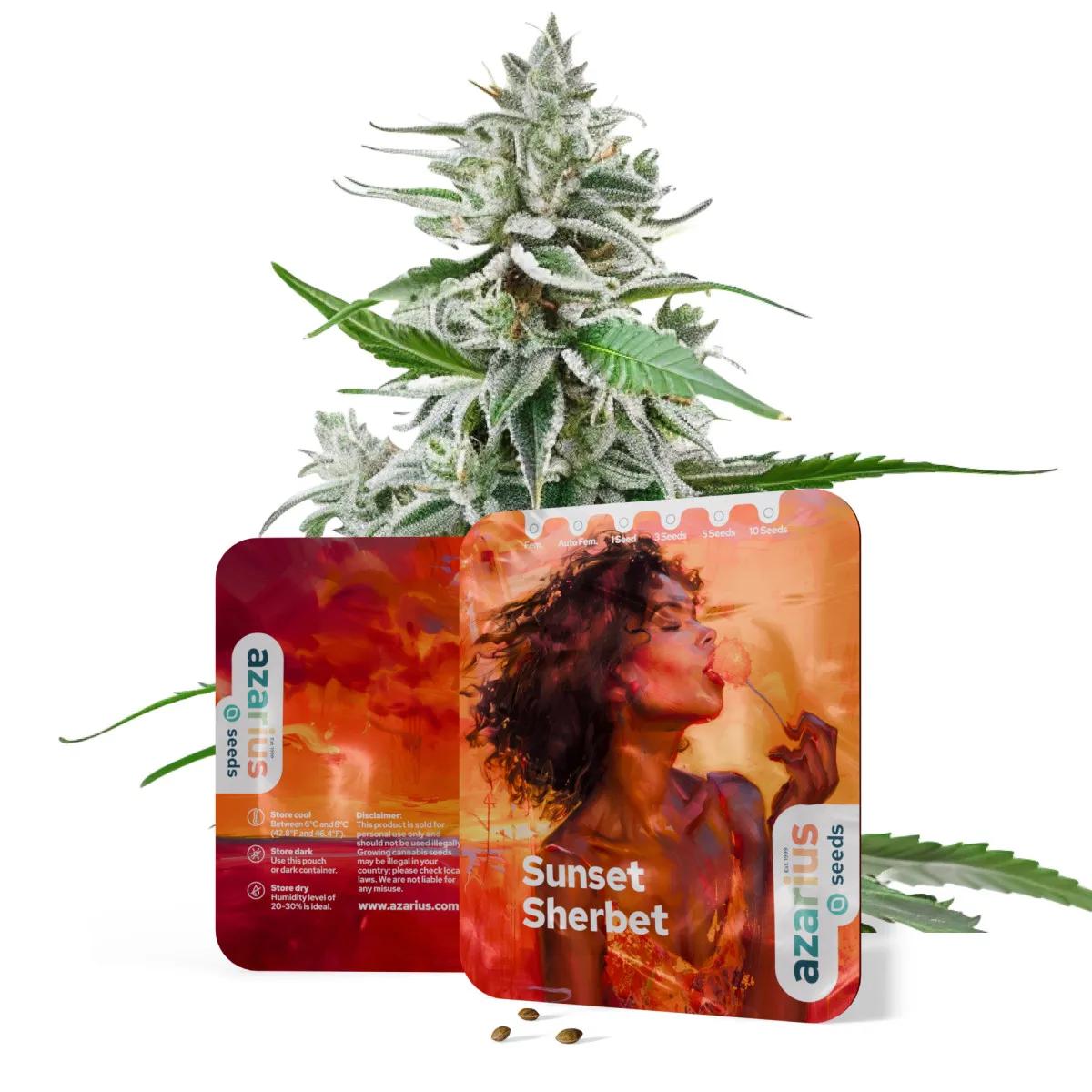 Sunset Sherbet Auto