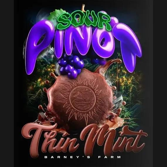Thin Mint x Sour Pinot