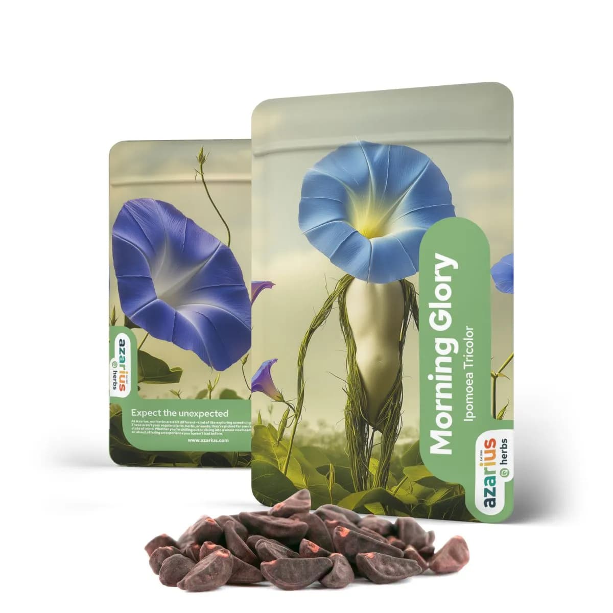 Graines de Morning Glory