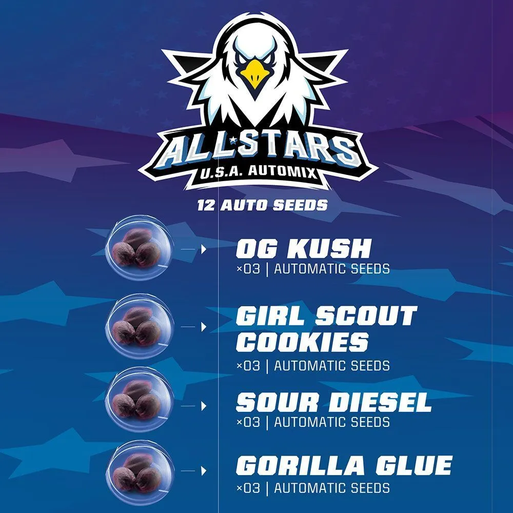 All Stars USA Automix — image 2