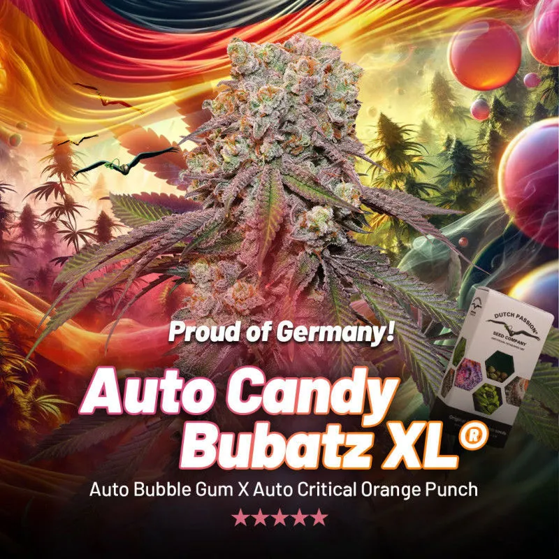 Auto Candy Bubatz XL — image 2