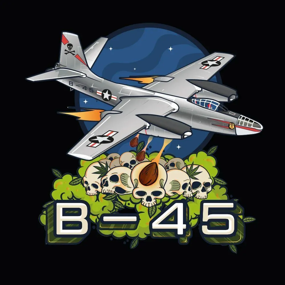 B-45 by Booba — image 2