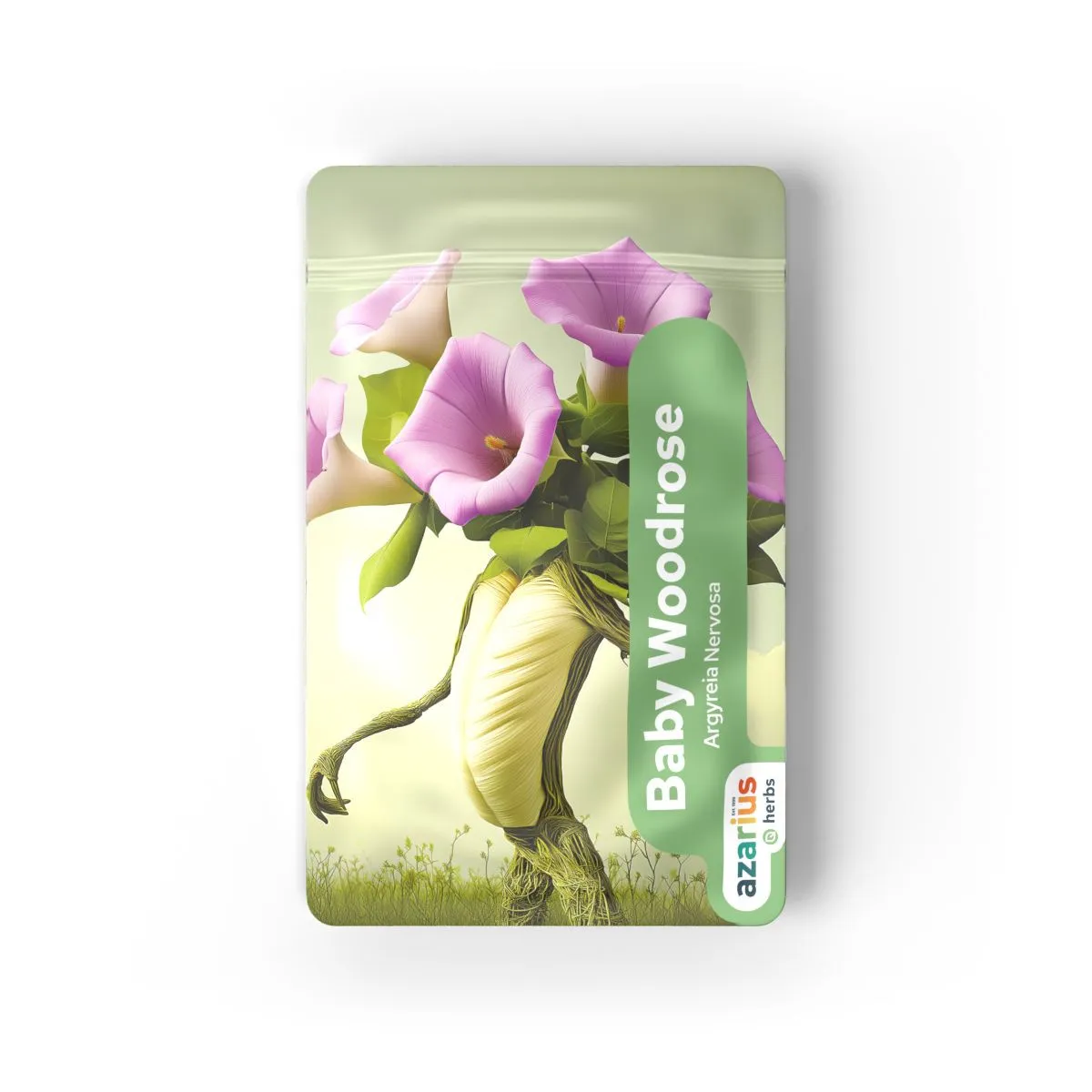 Graines de Baby Woodrose — image 3