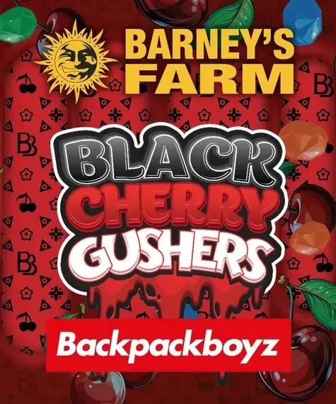 Black Cherry Gushers (Barney's Farm x Backpackboyz) — image 4