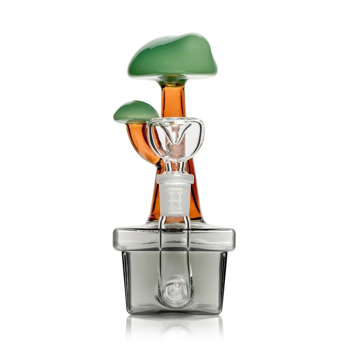 Bong Bonsaï — image 4
