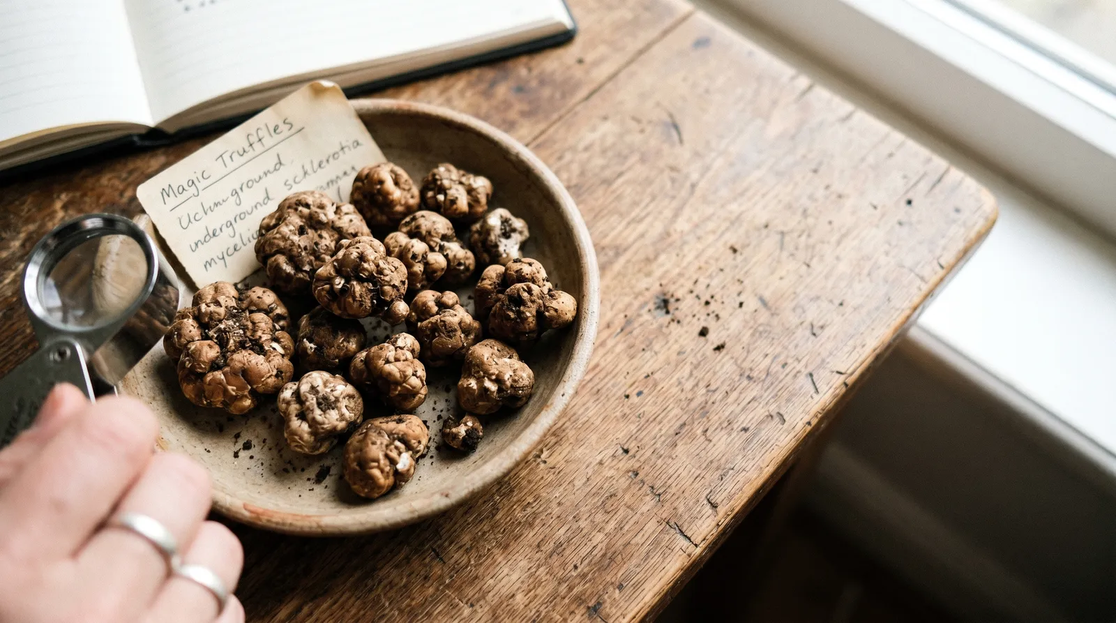 AZARIUS · Comment préparer et consommer les truffes magiques