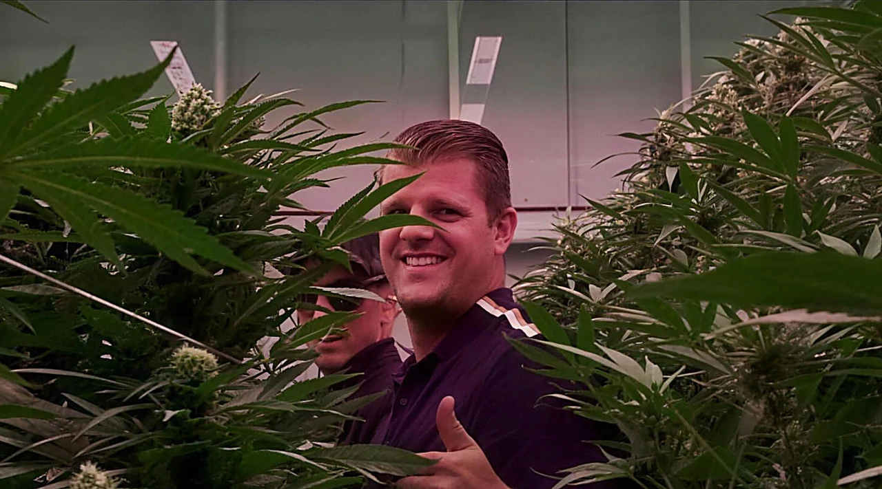 AZARIUS · Chez Inexo : là où les génétiques de cannabis F1 hybrides passent l'épreuve du terrain