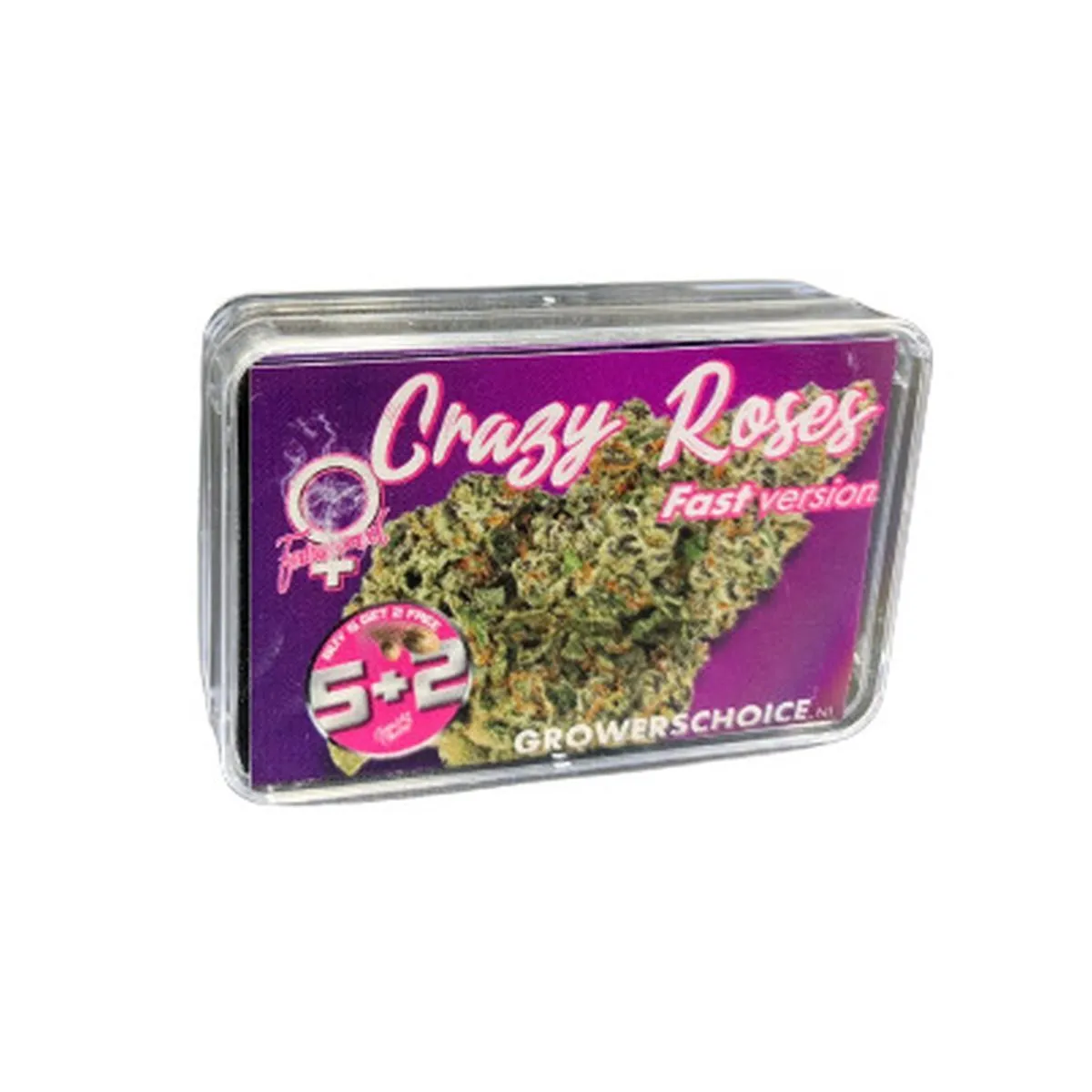 Crazy Roses Fast Version — image 2