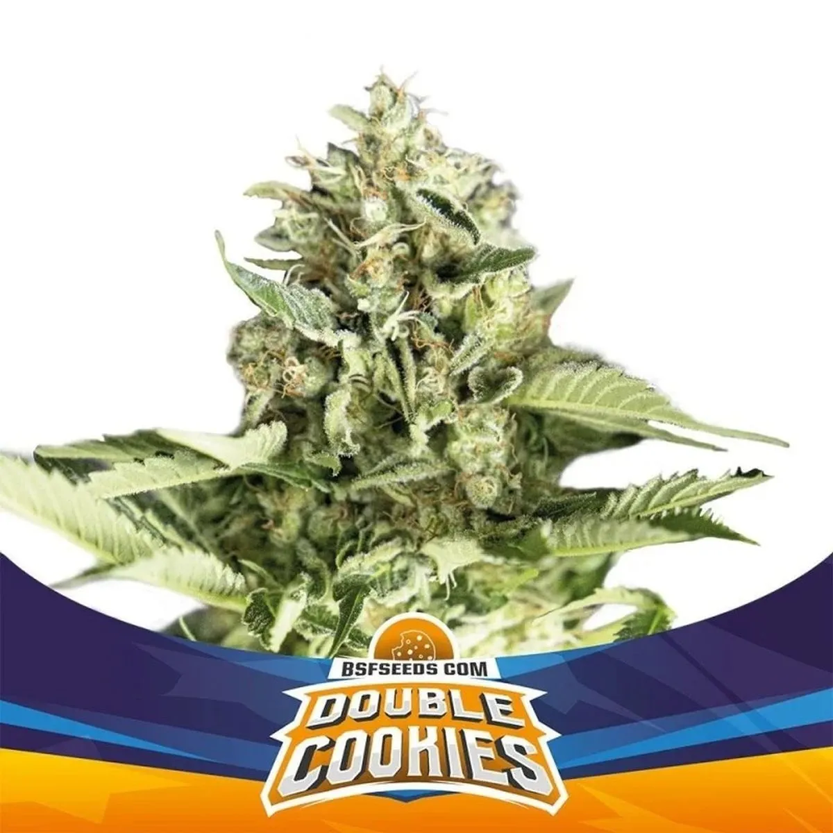 Double Cookies