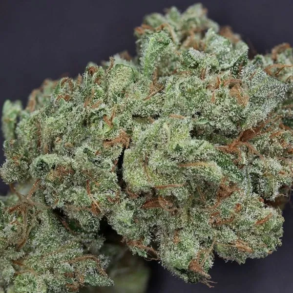 Ghost Train Haze 1 — image 3