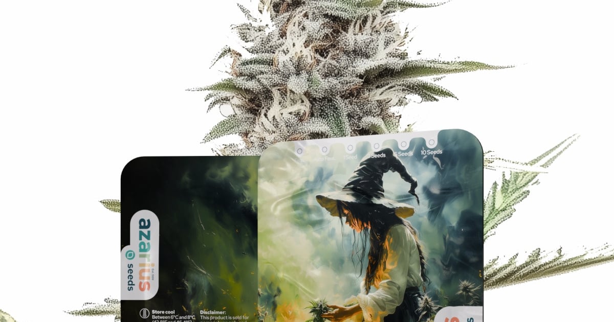 Green Poison Auto — Graines Autoflorissantes | Azarius