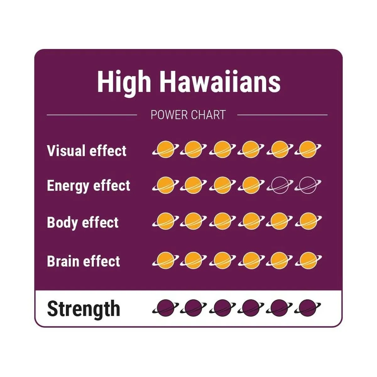 Truffes magiques High Hawaiians — image 4