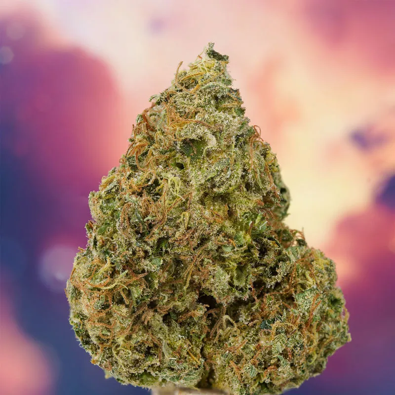 Ice Cream Haze — image 2