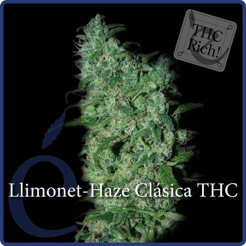 Llimonet Haze Classic THC — image 2