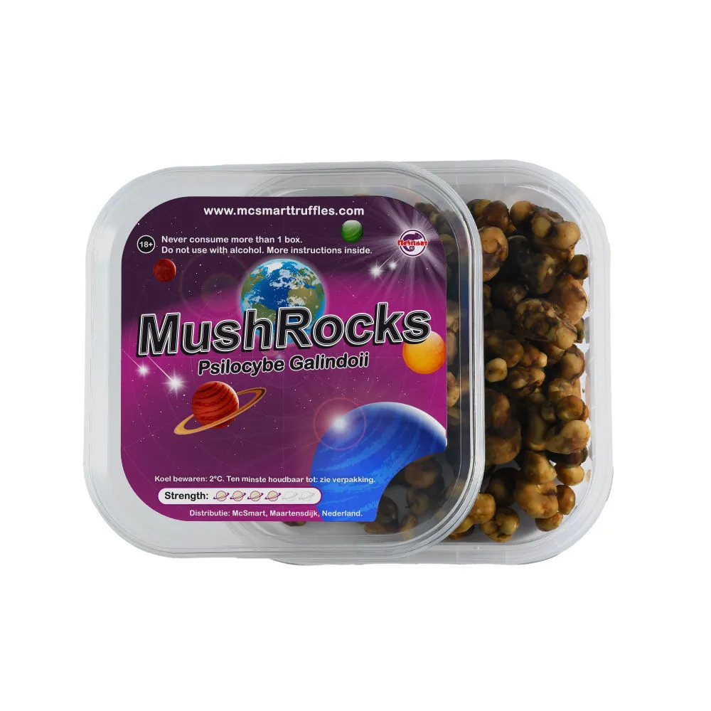 Truffes magiques MushRocks — image 2