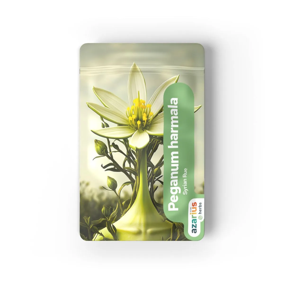 Graines de Peganum Harmala — image 3