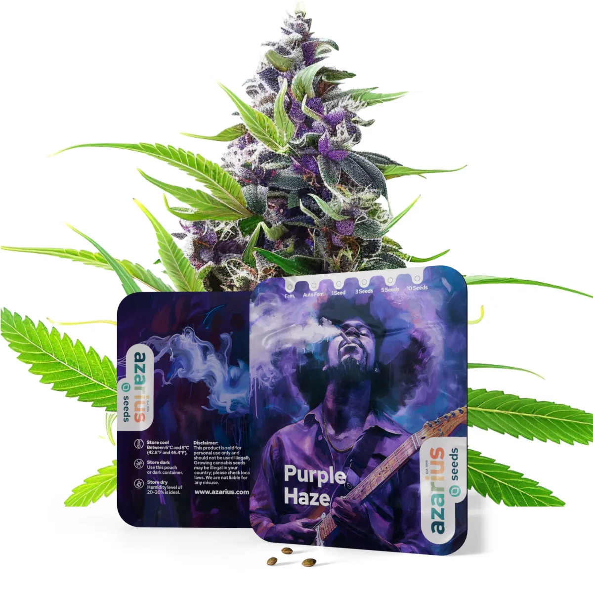 Purple Haze Auto