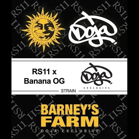 RS11 x Banana OG — image 2