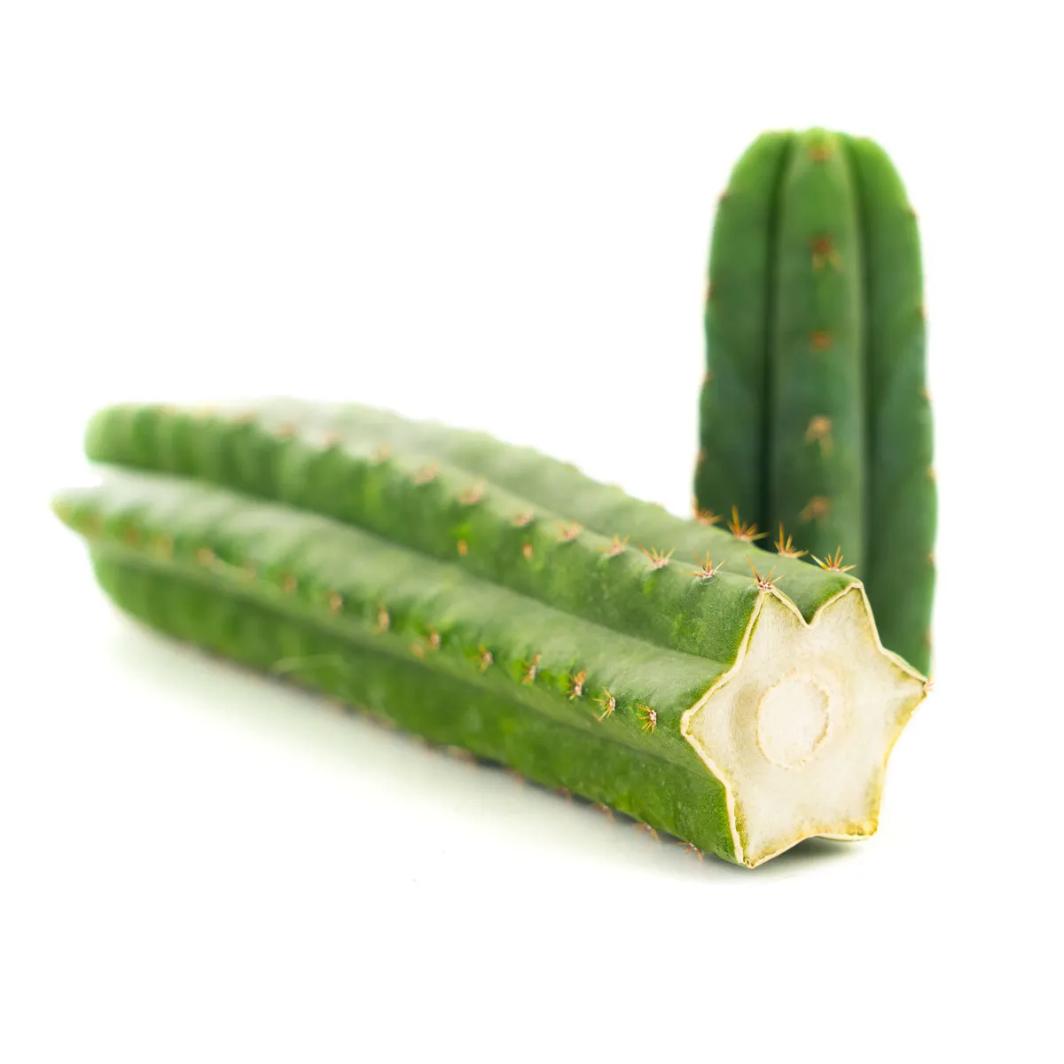 San Pedro — image 2