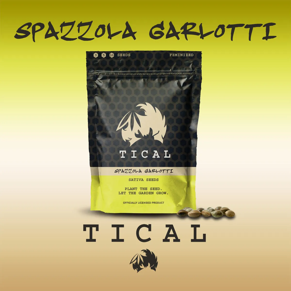 Spazzola Garletti (TICAL) — image 2