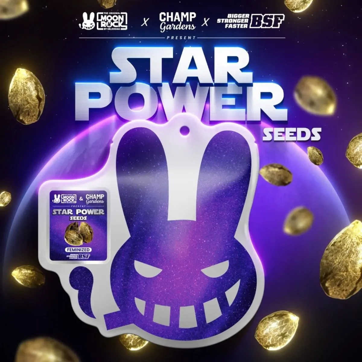 Star Power (BSF Seeds x Moon Rock) — image 2