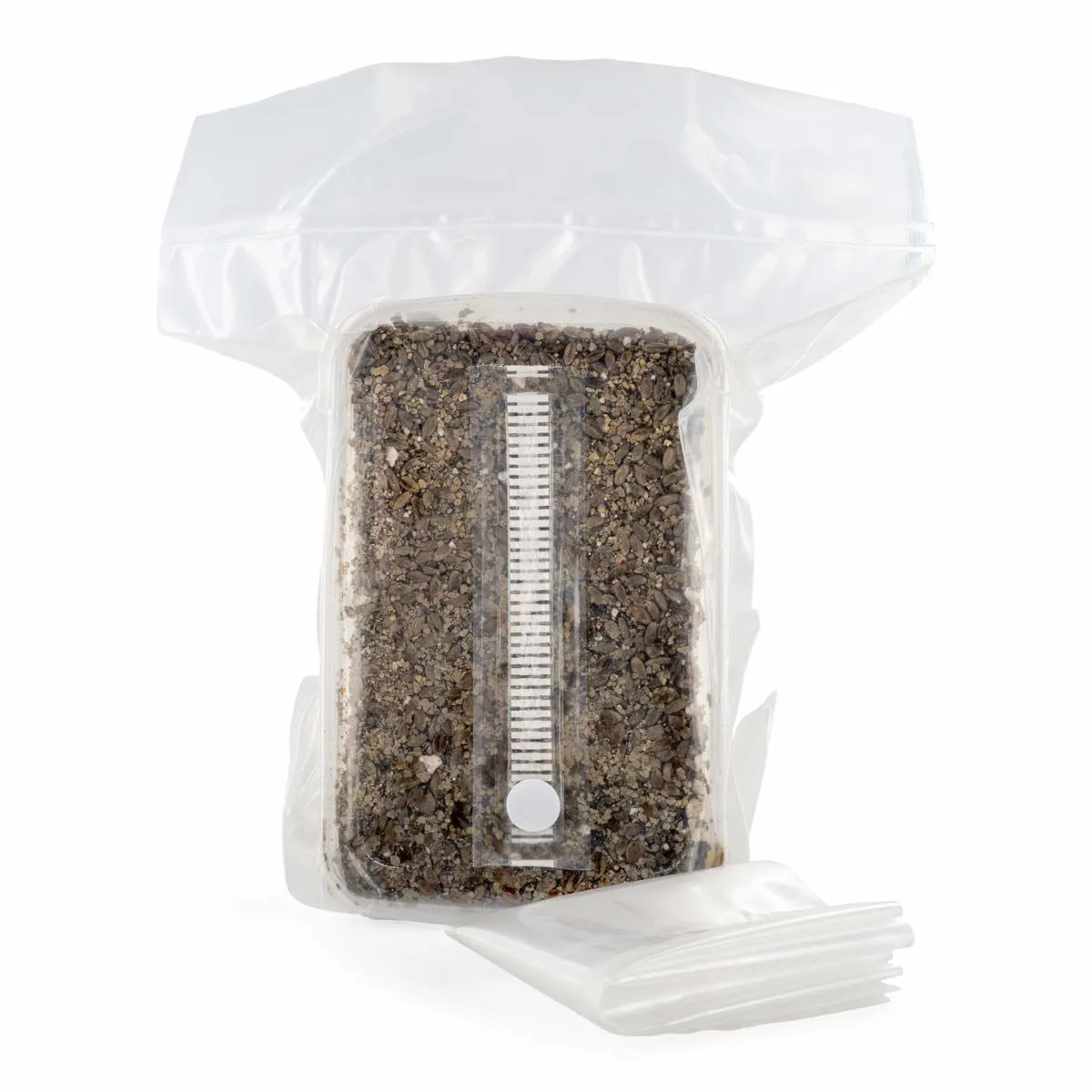 Kit de substrat stérilisé — image 4