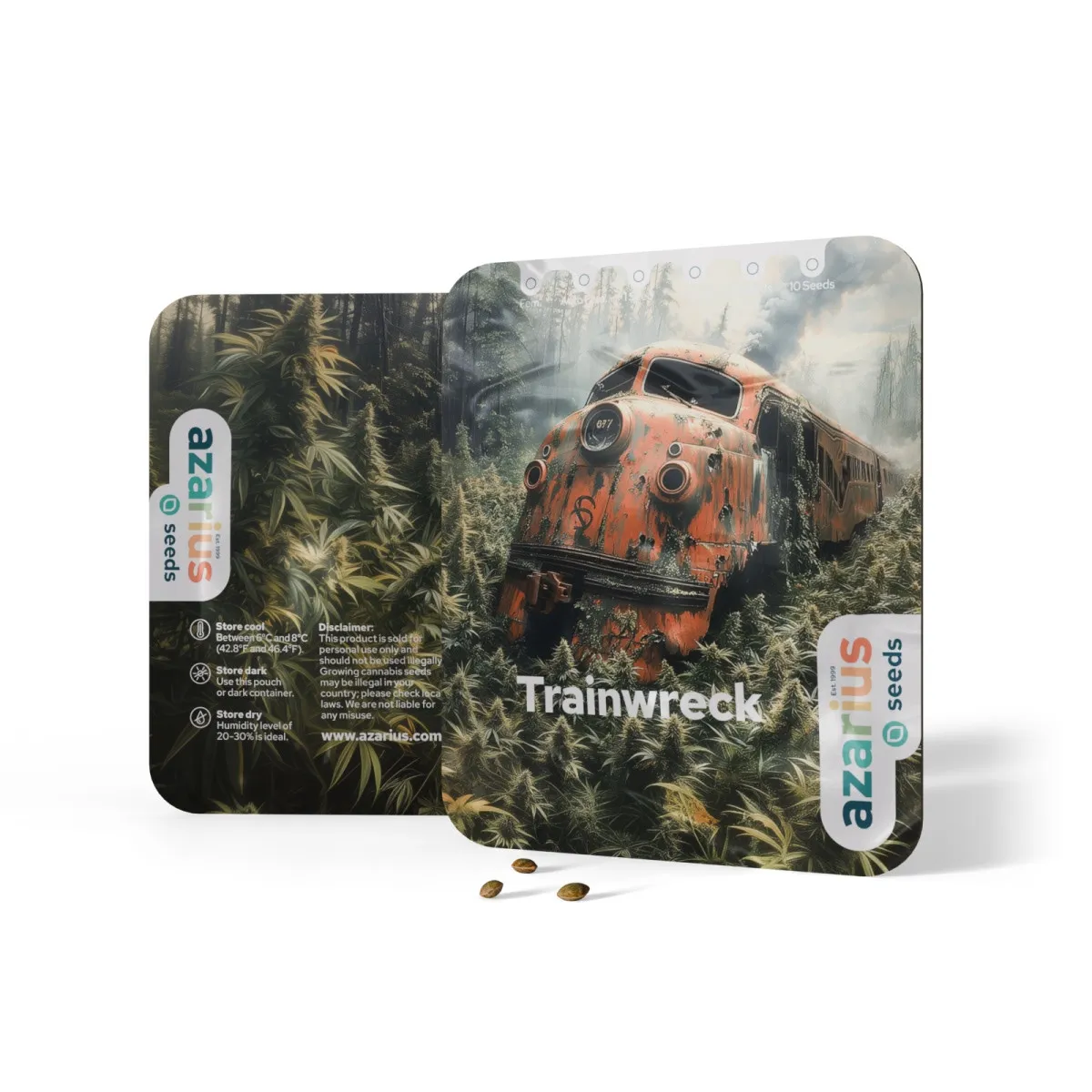 Trainwreck Auto — image 3