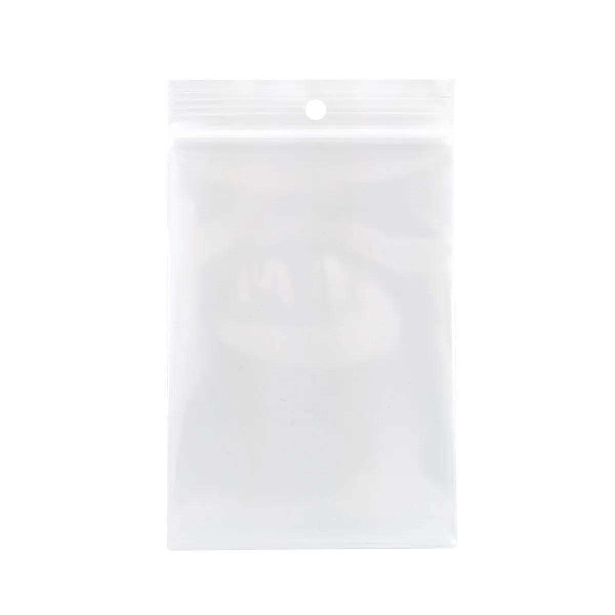 Sachets zip (100 pcs)