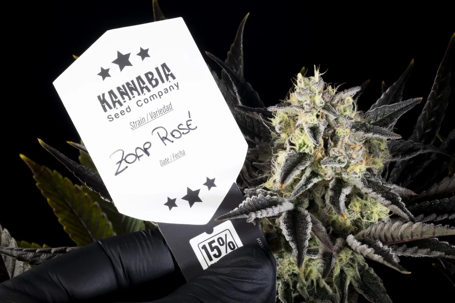 Zoap Rosé — image 2